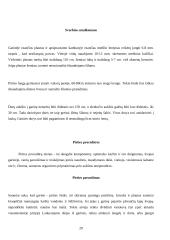 Pirčių istorija ir įvairovė 20 puslapis