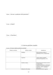 Siuvinių konstravimas ir projektavimas 13 puslapis