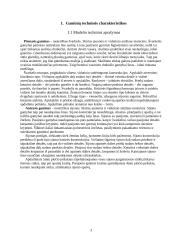 Siuvinių konstravimas ir projektavimas 3 puslapis