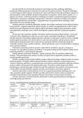 Siuvinių konstravimas ir projektavimas 9 puslapis