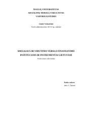Smulkaus ir vidutinio verslo finansavimo institucijos ir instrumentai Lietuvoje
