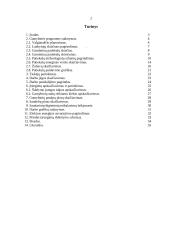 Sriubų ruošimo organizavimas greito aptarnavimo restorane 2 puslapis