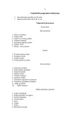 Sriubų ruošimo organizavimas greito aptarnavimo restorane 4 puslapis