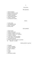 Sriubų ruošimo organizavimas greito aptarnavimo restorane 6 puslapis