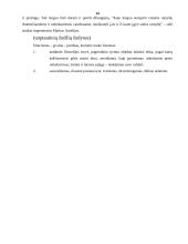 Stoicizmas 14 puslapis