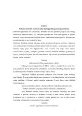 Švėkšna - pasienio miestelis prie Klaipėdos krašto 2 puslapis