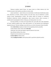 Teisminė bankroto bylų nagrinėjimo procedūra 2 puslapis