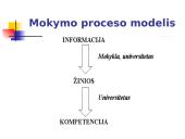 Informacinės visuomenės iššūkiai mokyklai ir universitetui 6 puslapis