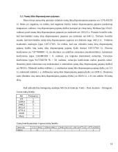Namų ūkio pajamų ir išlaidų analizė 13 puslapis