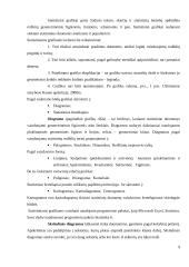 Užimtumo statybose Kauno apskrityje statistinis tyrimas 9 puslapis