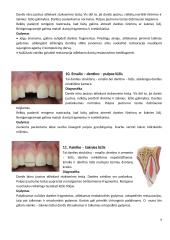 Dažniausiai pasitaikančios pastoviųjų dantų traumos 6 puslapis