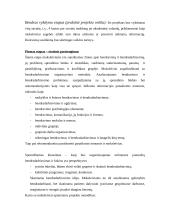 Išmokime bendrauti ir bendradarbiauti 3 puslapis