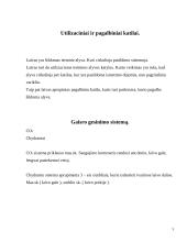 Laivas: Cornelis Zanen 5 puslapis