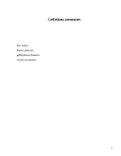 Laivas: Cornelis Zanen 6 puslapis