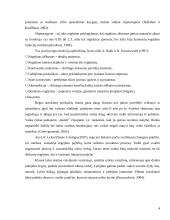 Silpnaregių vaikų teigiamų emocijų sužadinimas 4 puslapis