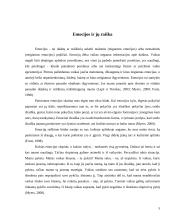 Silpnaregių vaikų teigiamų emocijų sužadinimas 5 puslapis