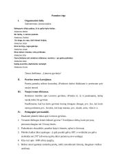 Išplėstinis geografijos pamokos planas 3 puslapis