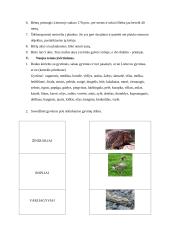 Išplėstinis geografijos pamokos planas 4 puslapis