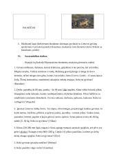 Išplėstinis geografijos pamokos planas 5 puslapis