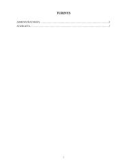 Praktikos ataskaita: administratoriaus veikla 2 puslapis