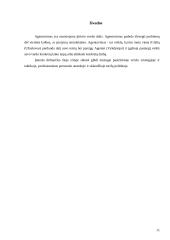 Praktikos ataskaita: konteinerių transportavimas UAB "Volfra — Klaipėda" 10 puslapis