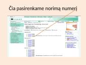 Emerald duomenų bazė 19 puslapis