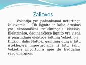 Vokietija, Vokietijos charakteristika 15 puslapis