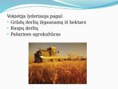 Vokietija, Vokietijos charakteristika 19 puslapis