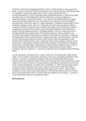 Holokausto tragedija Lietuvoje 4 puslapis