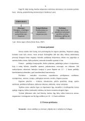 Abiturientų patiriamas stresas prieš egzaminus. Streso įtaka egzaminų rezultatams 6 puslapis