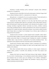 Administracinėn atsakomybėn traukiamo asmens teisės ir pareigos 3 puslapis