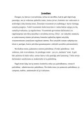 Administracinio teisės pažeidimo samprata 3 puslapis