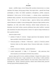 Agresyvus vaikų elgesys 11 puslapis