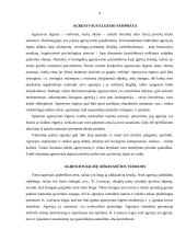 Agresyvus vaikų elgesys 4 puslapis