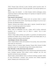 Alfred Adler ir Gordon Allport. Asmenybės teorijų palyginimas pagal žmogaus prigimtį 12 puslapis