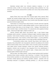 Aristotelio filosofinė veikla 6 puslapis