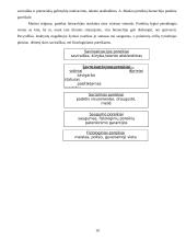 Asmenybės vystymasis ir raida 11 puslapis