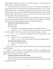 Asmenybės vystymasis ir raida 13 puslapis