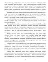 Asmenybės vystymasis ir raida 17 puslapis