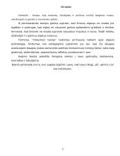 Asmenybės vystymasis ir raida 18 puslapis