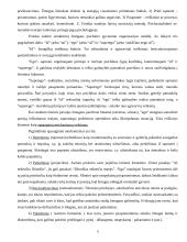 Asmenybės vystymasis ir raida 6 puslapis