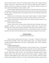 Asmenybės vystymasis ir raida 10 puslapis