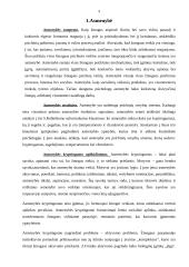 Asmenybės individualiosios psichinės savybės ir pažįstamoji veikla 3 puslapis