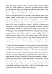 Asmenybės individualiosios psichinės savybės ir pažįstamoji veikla 4 puslapis