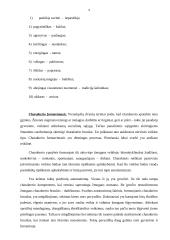 Asmenybės individualiosios psichinės savybės ir pažįstamoji veikla 9 puslapis