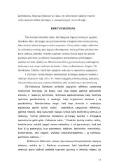 Asmenybės sampratos teorijos. Paauglystė 10 puslapis