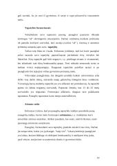 Asmenybės sampratos teorijos. Paauglystė 18 puslapis