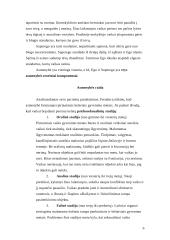 Asmenybės sampratos teorijos. Paauglystė 5 puslapis