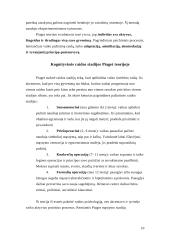 Asmenybės sampratos teorijos. Paauglystė 9 puslapis