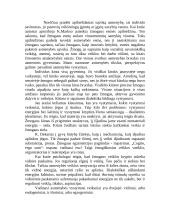 Asmenybės tikslai, perspektyvos, aspiracijos 2 puslapis
